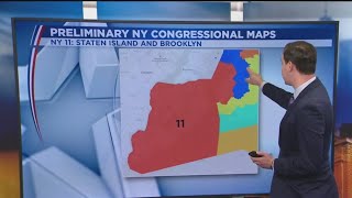 Court expert draws more GOPfriendly New York political maps [upl. by Eixid]