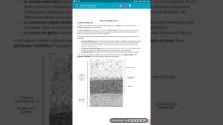 histologie système nerveux  cortex Cérébelleux trop simplifié [upl. by Harbison515]