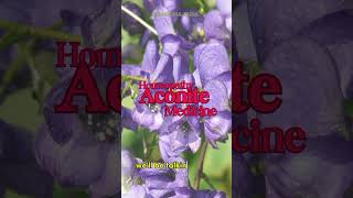 DO YOU KNOW THE POWER OF ACONITE Your Ultimate Guide to Homeopathic Healing 🌿 [upl. by Joelie]