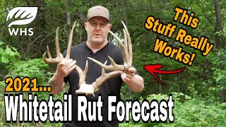 2021 Whitetail Rut Forecast [upl. by Swartz771]