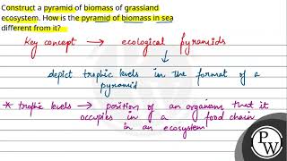 Construct a pyramid of biomass of grassland ecosystem How is the pyramid of biomass in sea diff [upl. by Reisch372]