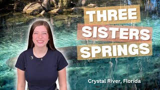 Three Sisters Springs in Crystal River Florida [upl. by Nivanod]