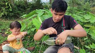 Make traps to catch giant stream fish Daily life of a single father [upl. by Akehsar]