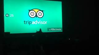 Dog going cray Cray over TripAdvisor and XYZAL commercial [upl. by Sudbury329]