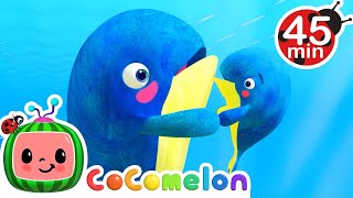 Whale of a Time Nursery Rhyme  CoComelon Animal Time  Learning with Animals  Songs for Kids [upl. by Roxy]