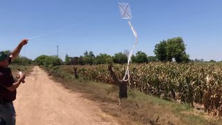 Recuerdas los papalotes te invito a construir uno este video es para recordar nuestra niñez [upl. by Jolyn]