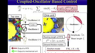 A Soft Deformable Amoeboid Robot Inspired by Plasmodium of True Slime Mold Slimy [upl. by Ylla]