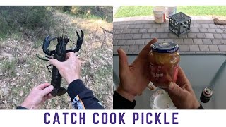 First marron catch cook and pickle for marron season 2024 [upl. by Rabin147]