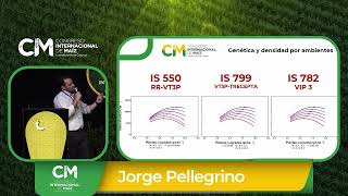 Manejo por ambientes genética densidad y nutrición como factores clave  Jorge Pellegrino YPF Agro [upl. by Orpah]