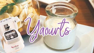 Recettes Yaourtière Lagrange — YAOURTS [upl. by Mcconnell]