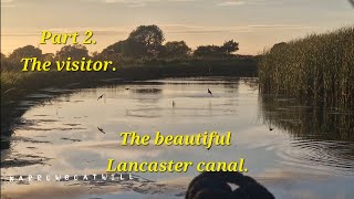 A wonderful cruise along the stunning lancaster canal My narrowboat journey continues [upl. by Ciredor86]