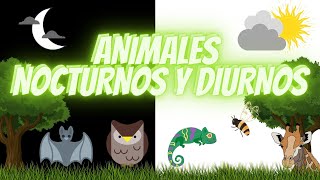 ANIMALES NOCTURNOS Y DIURNOS PARA NIÑOS DE PRIMARIA  🦉🐝 🦇EDUCACIÓN PARA NIÑOS👦 👧 [upl. by Atinod638]