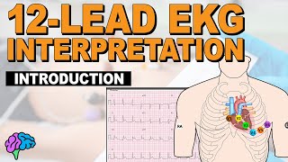 Introduction to Concepts of 12Lead EKG Interpretation [upl. by Frum]