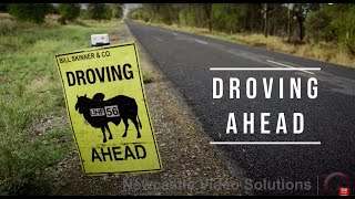 Droving Ahead  Short Documentary Film Australia [upl. by Droffilc439]