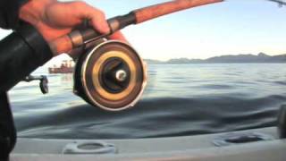 Shimano Mooching Reels [upl. by Atterual]