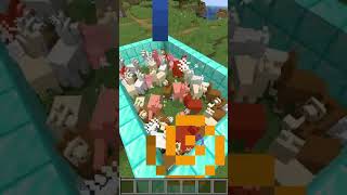 Are Minecraft Lamas Really Mad herobrinesmp minecraft minecraftshorts [upl. by Yroc296]