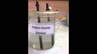 Electrolysis of Sodium Chloride [upl. by Oicor]