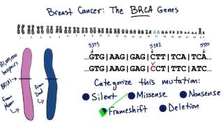 BRCA1  Tales from the Genome [upl. by Fisher]