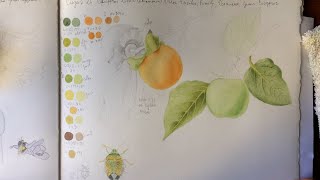 August Botanical Diary Final Video [upl. by Kedezihclem]