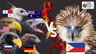 PHILIPPINE EAGLE VS GOLDEN EAGLE  TOP 5 LARGEST EAGLE [upl. by Ogdon435]