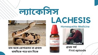 Lachesis  ল্যাকেসিস  Materia Medica  Learn Lachesis easily [upl. by Omarr788]