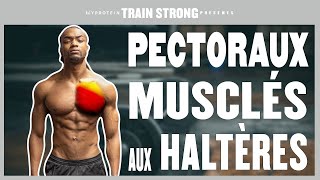 4 EXERCICES PECTORAUX avec haltères à la maison haut et bas des pecs [upl. by Stockmon515]