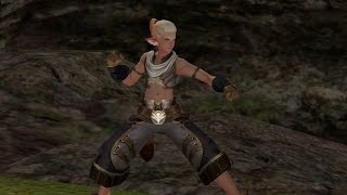 Lineage 2  Male Ertheias  New Class Gunfighter  Dev mod [upl. by Lrub]