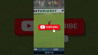 YouTube short catch reverse sweep wicket  Short  Wicket [upl. by Ydnagrub]