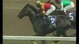 Fusaichi Pegasus  Kentucky Derby Gr1 [upl. by Gentry250]