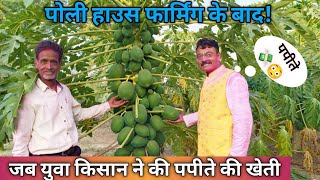 पोली हाउस फार्मिंग के बाद जब युवा किसान ने की पपीते की खेती  papita ki kheti  Agritech Guruji [upl. by Anitsirhk]