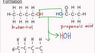 Sci 30 Alcohols Carboxylic Acids and Esters Part 3 Naming Esters [upl. by Salb638]