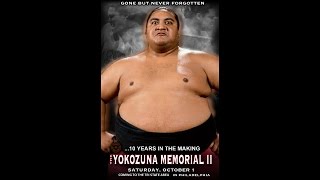 yokozuna memorial 2011 [upl. by Ahsekim696]