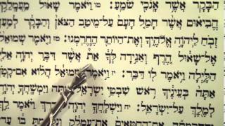 Haftorah Haftarah Reading for Parsha Zachor Amalek before Purim הפטרת זכור קריאה לפני פורים [upl. by Eniroc69]