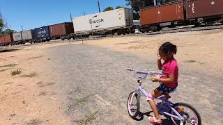 Longest train in Mildura [upl. by Marget128]