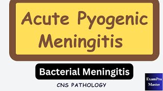 Bacterial Meningitis  Acute Pyogenic Meningitis  CNS Pathology [upl. by Snevets]