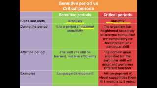 Sensitive vs Critical periods of learning  VCE Psychology [upl. by Jock]