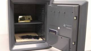 First Alert 2087F Fire Water amp Theft Combination Safe [upl. by Lennox]