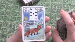 Lenormand Pt 3 Card Basics [upl. by Dolli956]