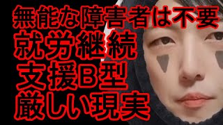 【障碍者支援】就労支援B型の厳しい現実 [upl. by Noled]