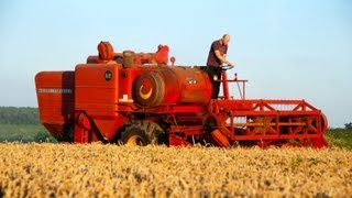 Classic Combine Week 6 Massey Ferguson 510 [upl. by Asiled]