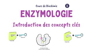 Introduction à lEnzymologie  Définitions et concepts clés [upl. by Nairrod]