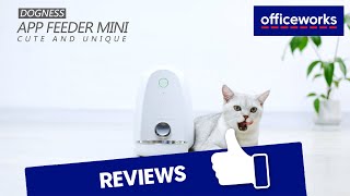 Dogness Smart Automatic Feeder for Small Pets [upl. by Leif]