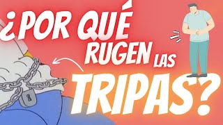 🔴 ¿Qué hace el ESTÓMAGO cuando tiene HAMBRE ¿por qué nos SUENAN las TRIPAS [upl. by Isolt]