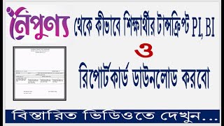 How to download Students Transcript PI BI amp Report Card from NOIPUNNO [upl. by Dash541]