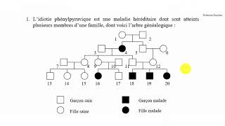 SVT2BAC  Exercice 1  Génétique humaine  l’arbre généalogique [upl. by Heber]