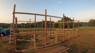 Building a peafowlpheasant enclosure and flight pen part 1 [upl. by Mccarty106]