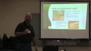 What are Mycorrhizal Fungi and How Do They Benefit Your Plants [upl. by Eetak]