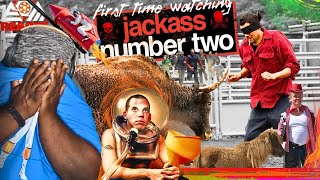 JACKASS NUMBER TWO 2006  FIRST TIME WATCHING  MOVIE REACTION [upl. by Goodson]