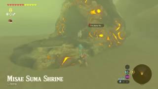 Zelda BOTW  How To do The quotPerfect Drinkquot Side Quest [upl. by Eitten]