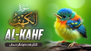 Surah Kahf with english translation  Live [upl. by Nelad]